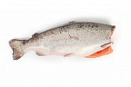 Чем полезна семга: что за рыба, полезные свойства, калорийность?